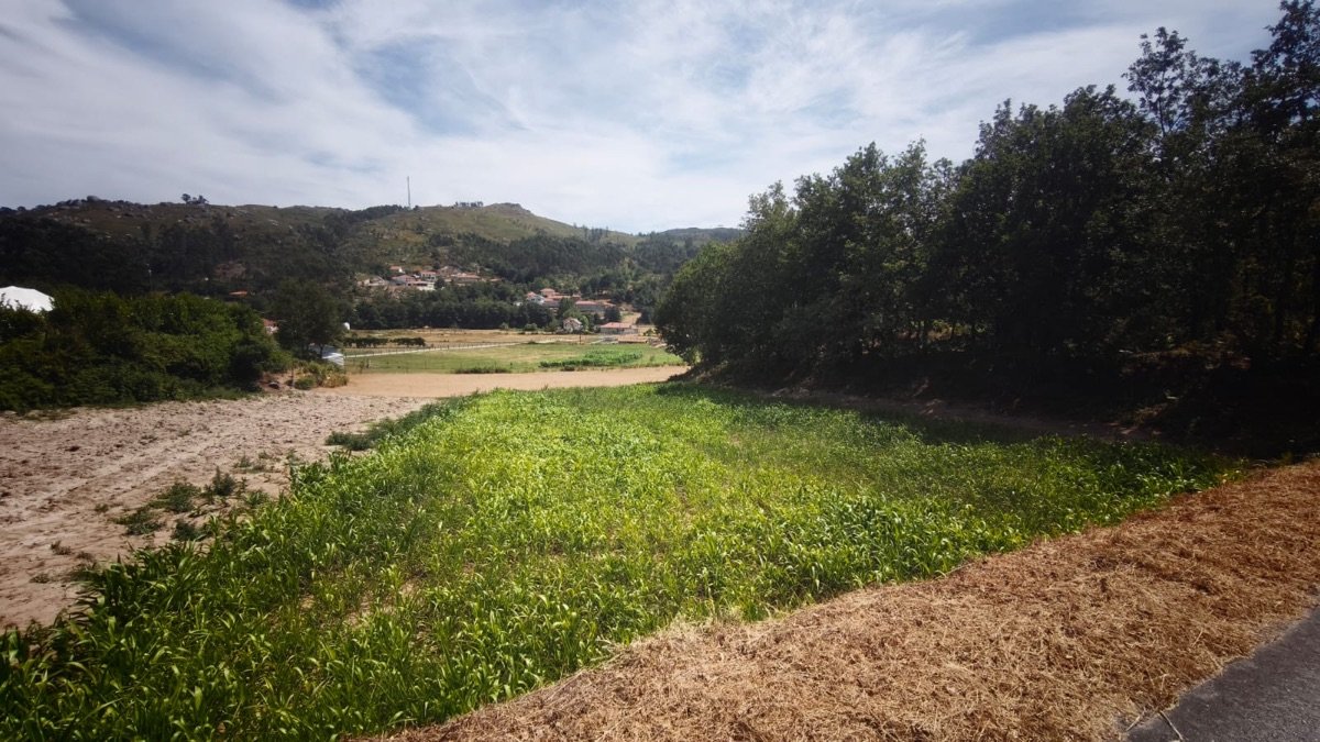 Campo de cultivo na área da aldeia, com a aldeia de Rossas e a serra ao fundo