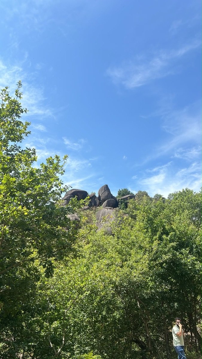 Afloramento de penedos visto de baixo, entre carvalhos, na área do fundo