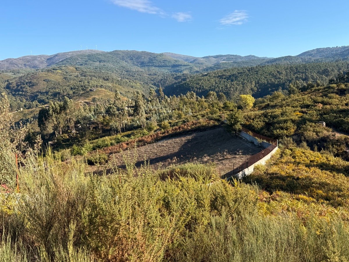 Socalco murado em pedra, na propriedade em Rossas
