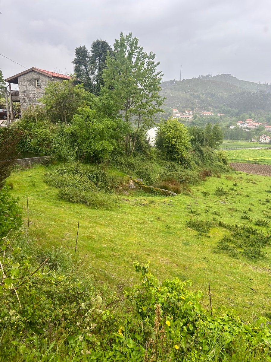 Campo junto a casario tradicional de granito, em Rossas